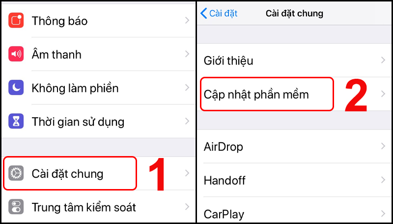 Chọn Cập nhật phần mềm trong mục Cài đặt